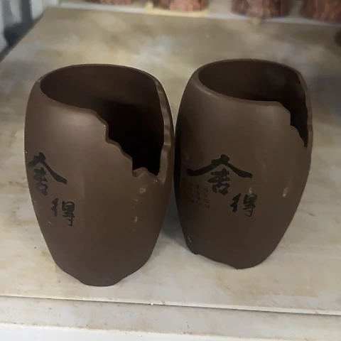 ···2个处理······5056