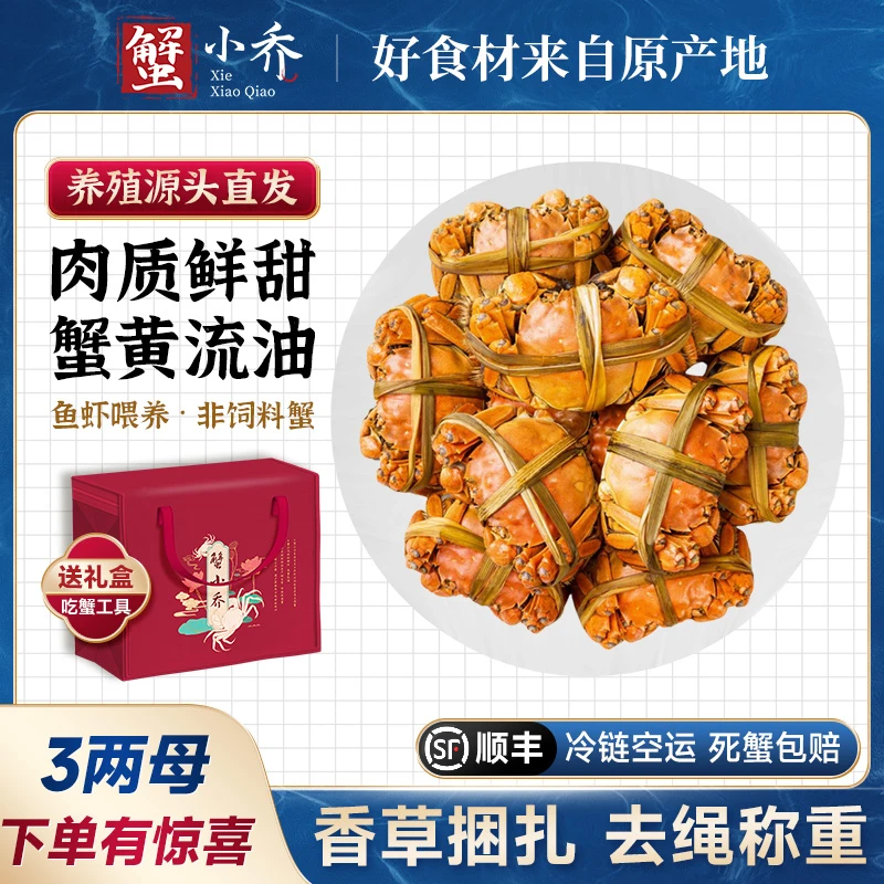 【3两大母蟹】(送公蟹)蟹小乔精品大闸蟹6-10只鲜活固城湖螃蟹顺丰