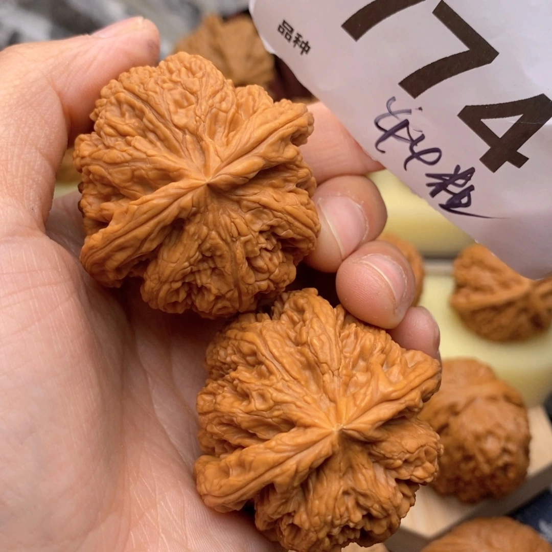 文玩核桃把件774号44粗筋