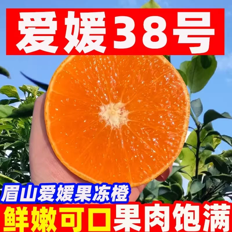 四川眉山爱媛38号果冻橙新鲜应季水果细腻无籽无渣爆甜多汁