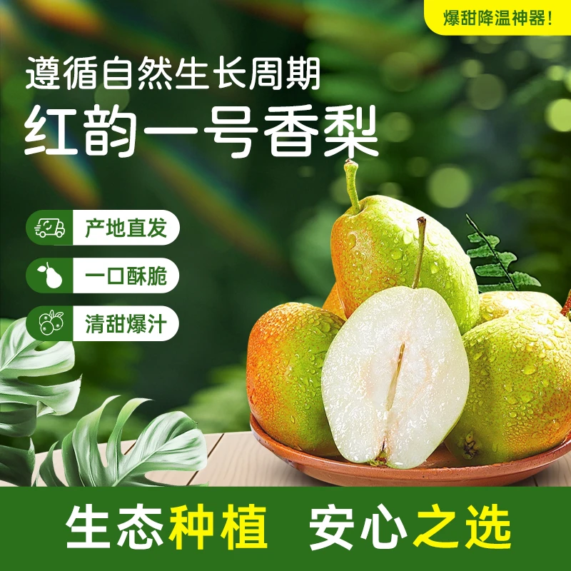 红韵1号香梨库尔勒香梨改良款新鲜水果脆甜