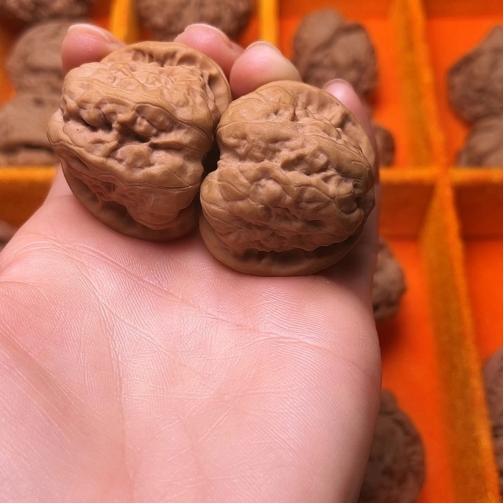 寻***尖涞水山地果蛤莫头39