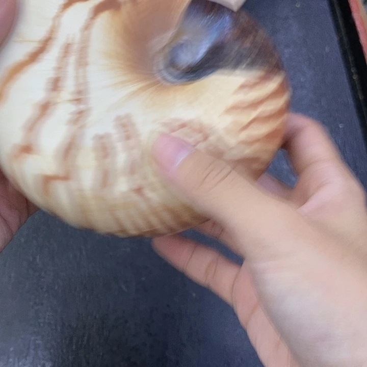 海外陶瓷茶具日化