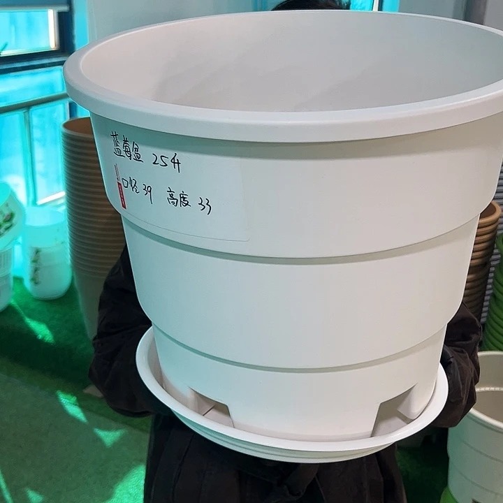 正品蓝莓盆口39高33白色带托3只