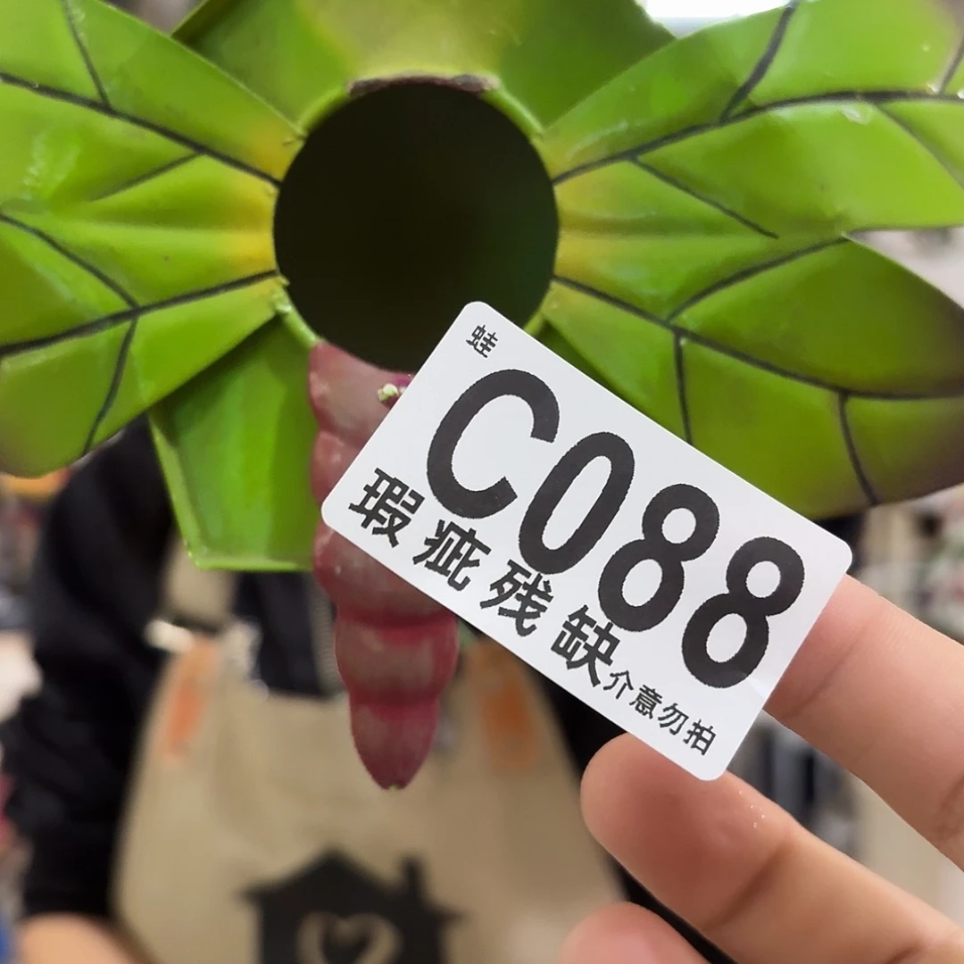 核桃木/黑胡桃（胡桃木）