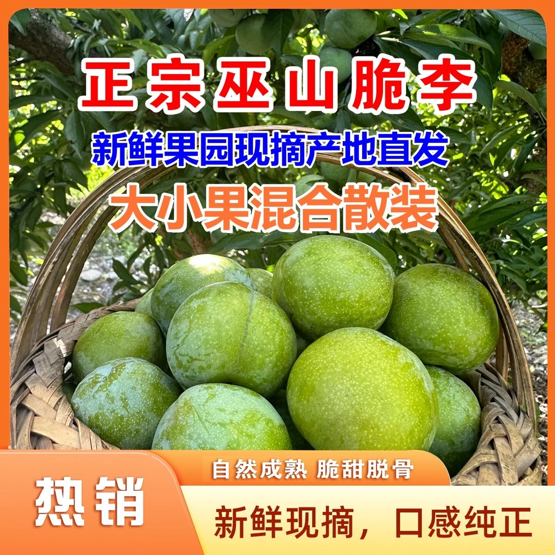 正宗巫山脆李5斤/10斤散装重庆市外专拍果园现摘产地直发
