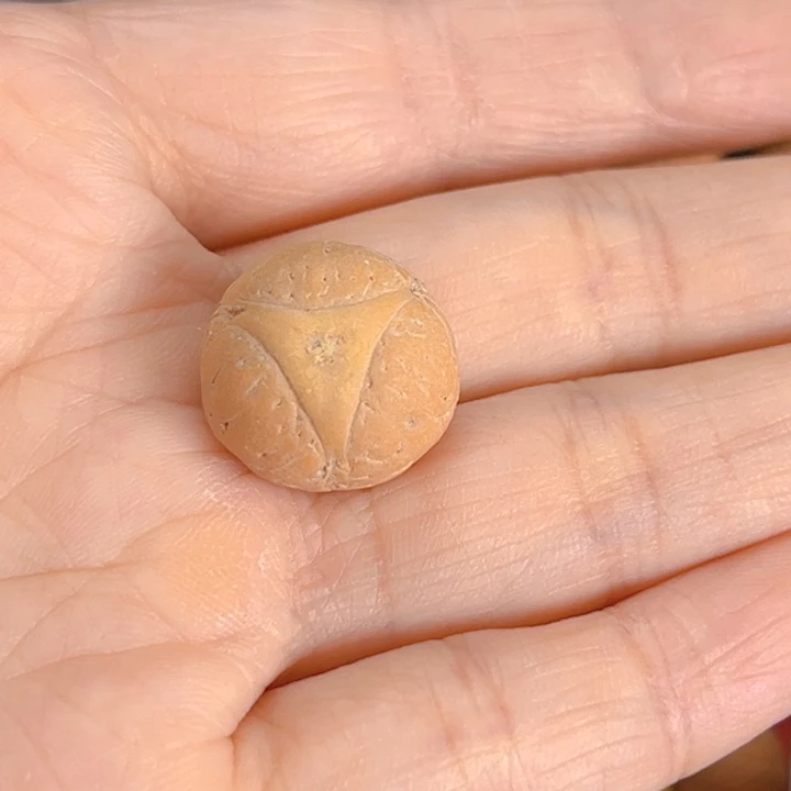 玉***酱凤眼菩提吊坠17龙眼81@2836