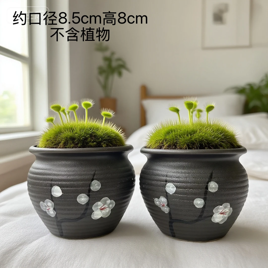 简约多肉花盆家用室内陶土花盘小号组合盆适合幼苗捕蝇草等绿植盆