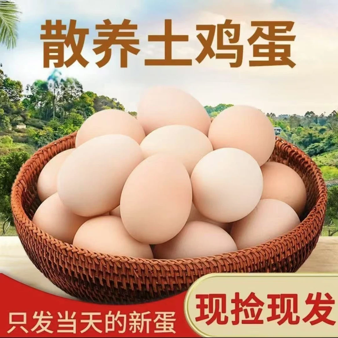 【新鲜鸡蛋】贵州农家散养本地鸡蛋林地散养正宗土鸡蛋现捡现发