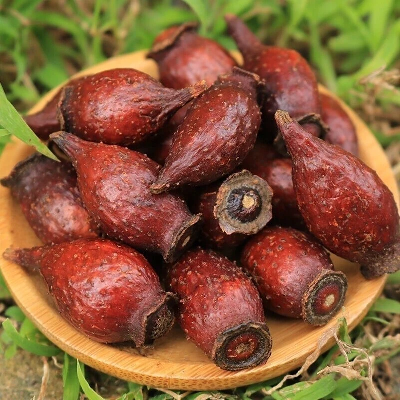 金樱子甄选大果可搭配枸杞泡水qq金樱子