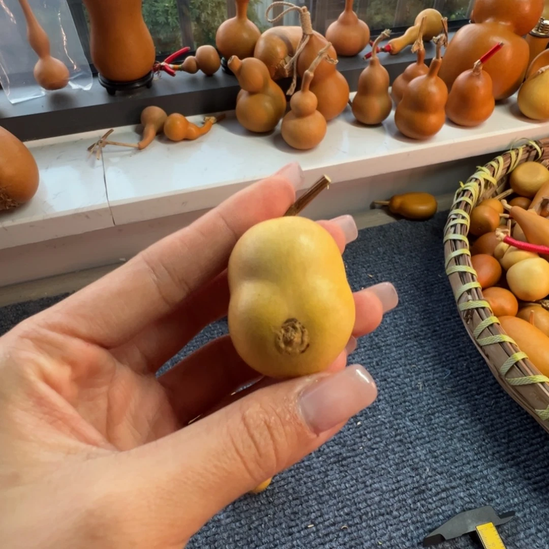 程***c葫芦葫芦葫芦葫芦