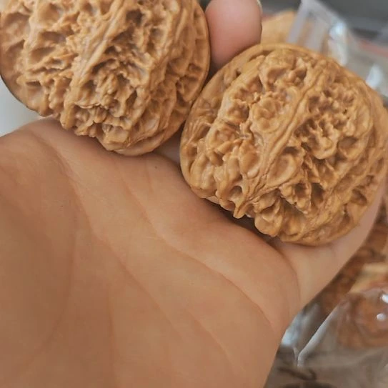 文玩核桃吊坠47粗筋