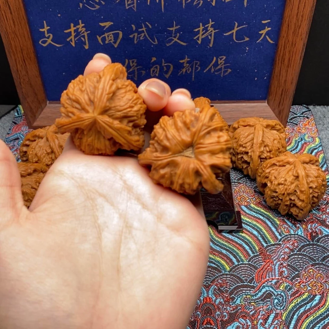 【闪购商品】今****三白狮