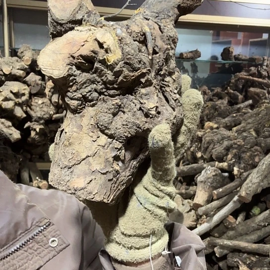 香榧木好***字火琉璃的故事毛料摆件