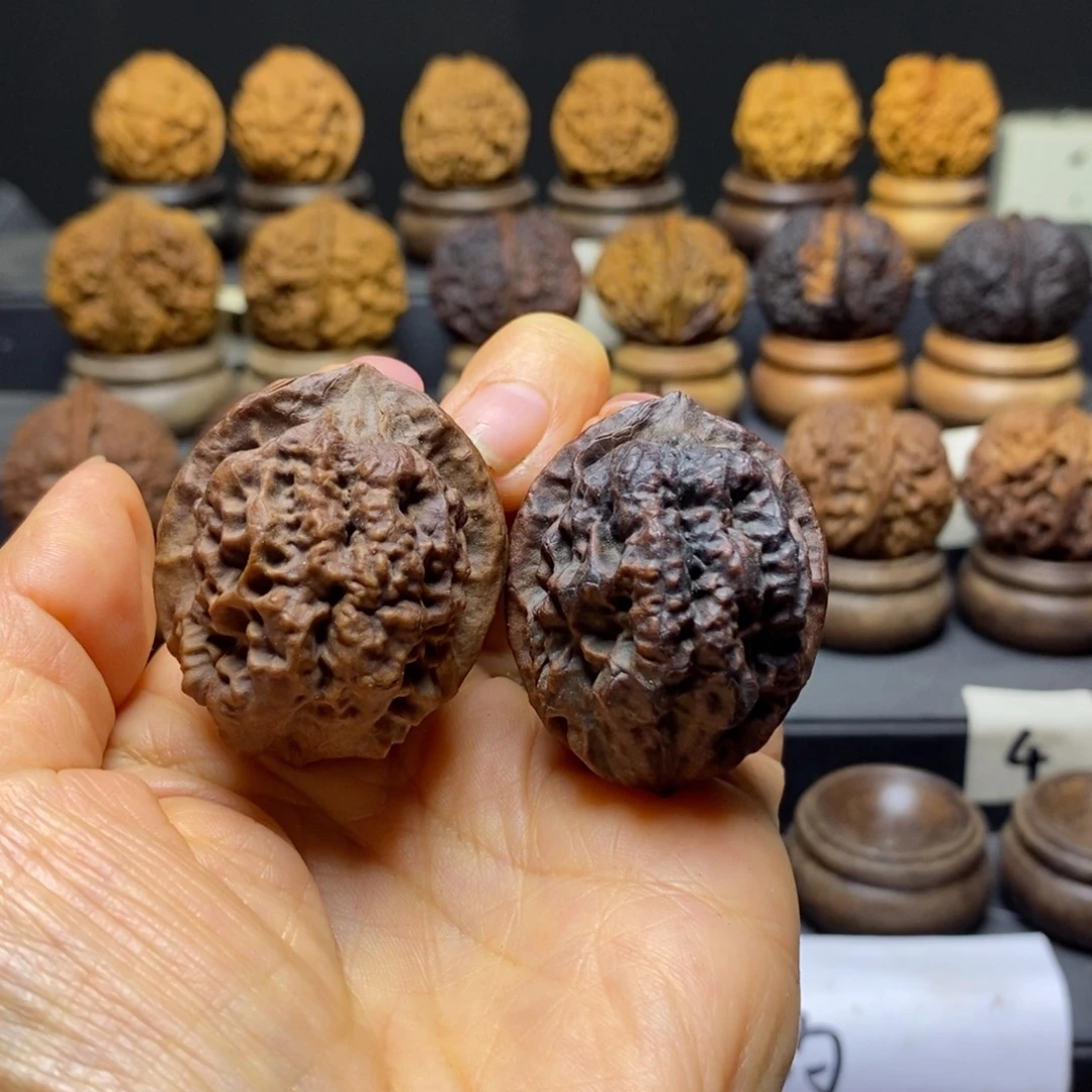 文玩核桃吊坠三角龙37