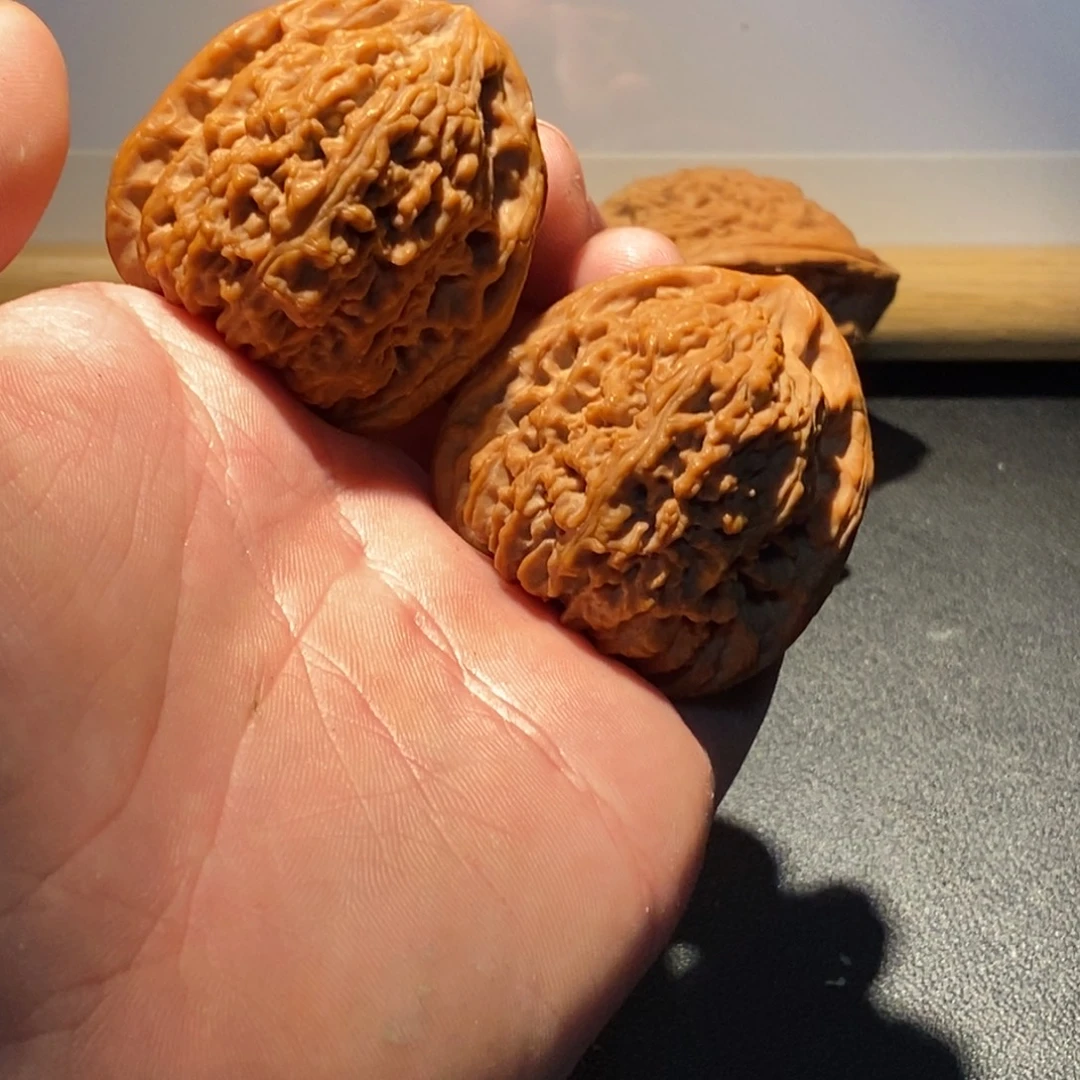 轻***悦手串/手链核桃南疆石41