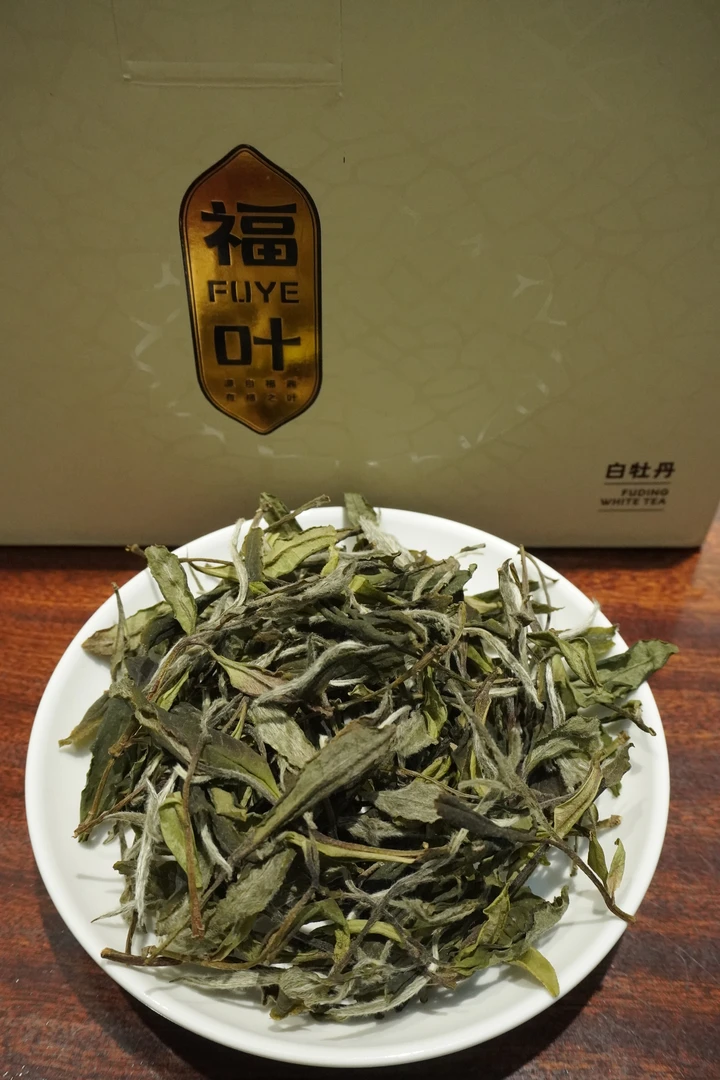 2023年花香荒野白牡丹正宗福鼎管阳高山白茶花香水甜