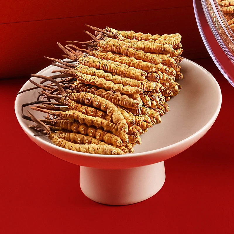 【 虫草弟5742】2025新冬虫夏草50根-100根正品送礼自用