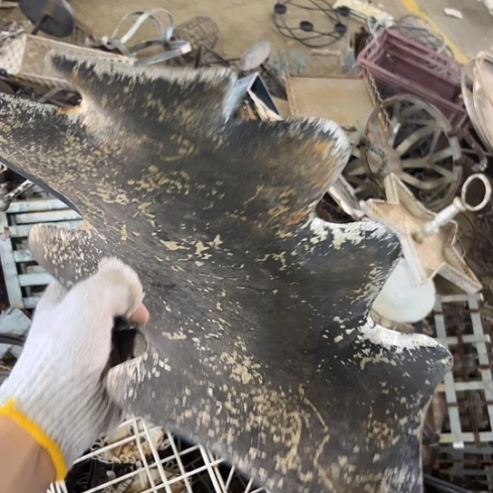 哈你看吧世界感情不发达