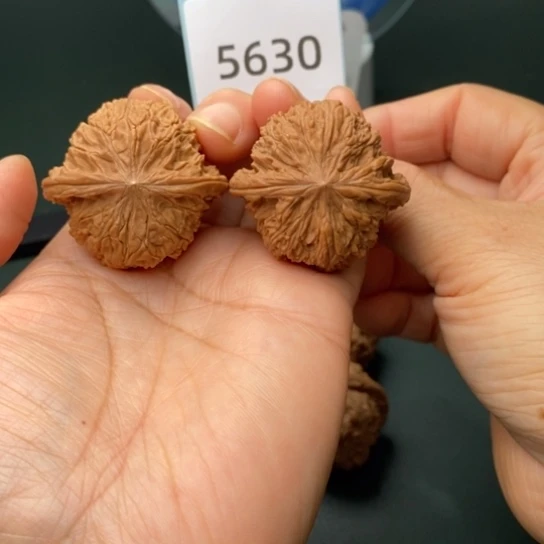 把件文玩核桃40全品正磨5630