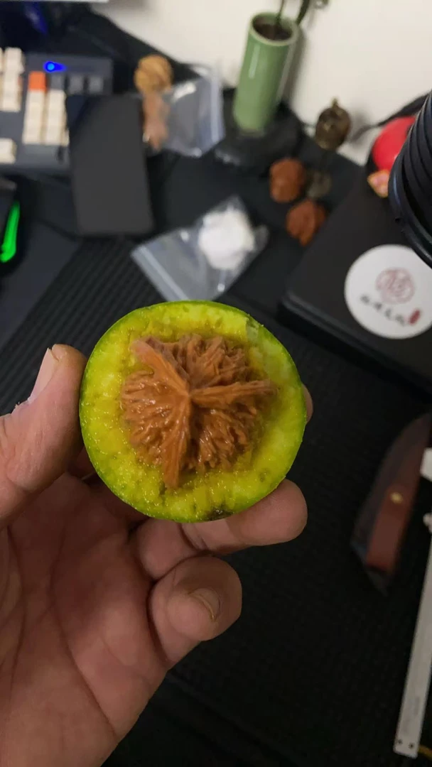 文玩核桃青皮（不退不换）门 hetaohetao789