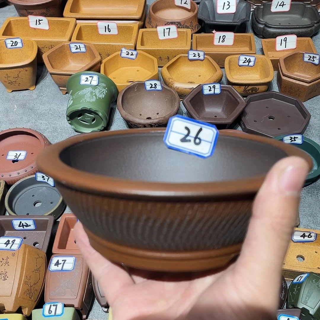 紫砂小盆13*4.5cmmmmm