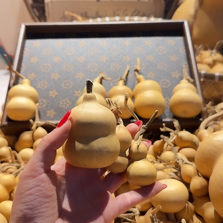 大叶紫檀（黑酸枝木类）大**必