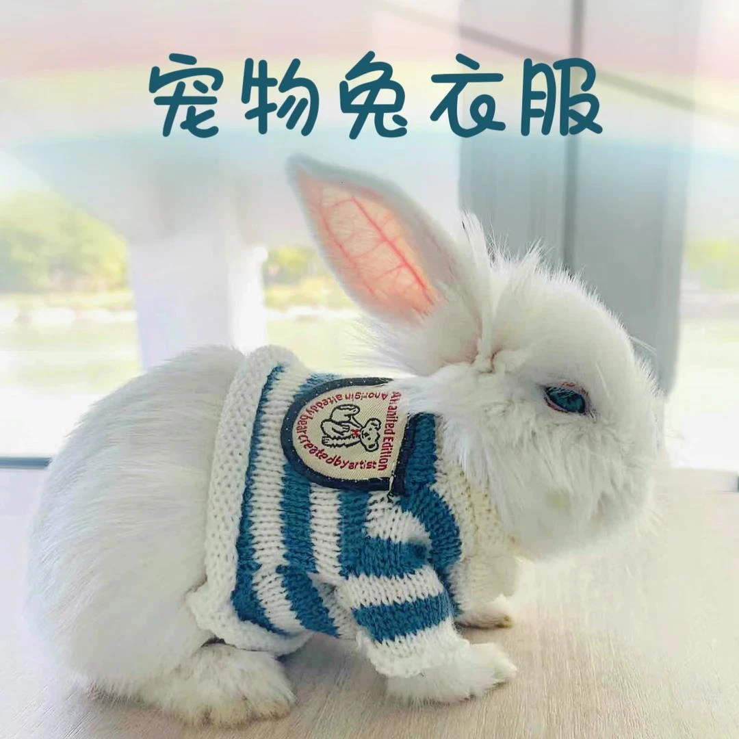 C宠物小兔子穿的衣服超小码可爱垂耳兔侏儒兔幼兔荷兰猪外出专用
