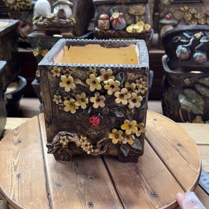 青藤多肉花盆百搭