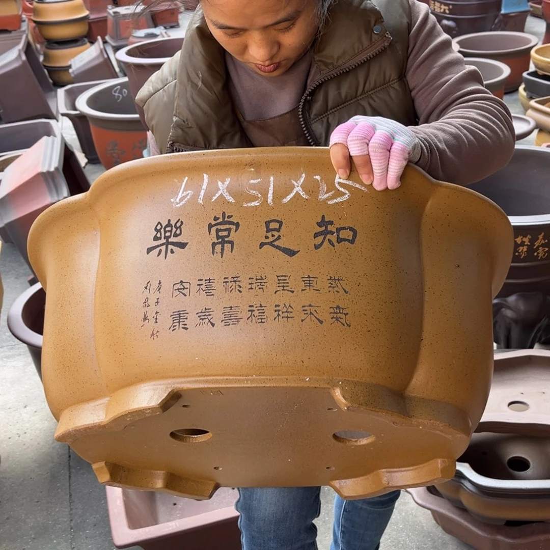 花盆紫砂盆景艺术