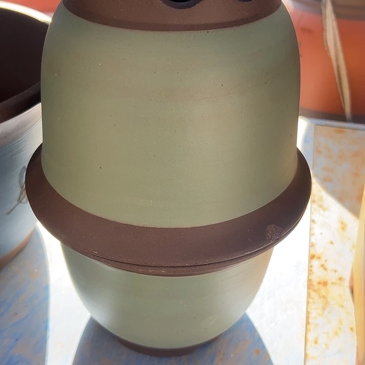 20+20绿放牛娃平角金钟花盆