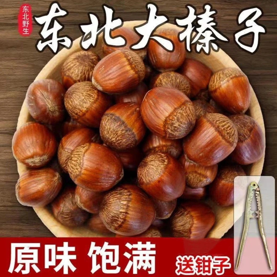 （一家人）清水南山笨炒大榛子达维品种（闭口榛子）果仁率90%