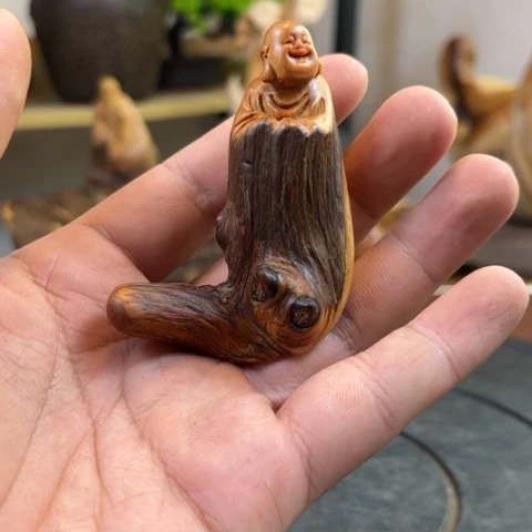 柏木（崖柏）v b b b b j j n n n