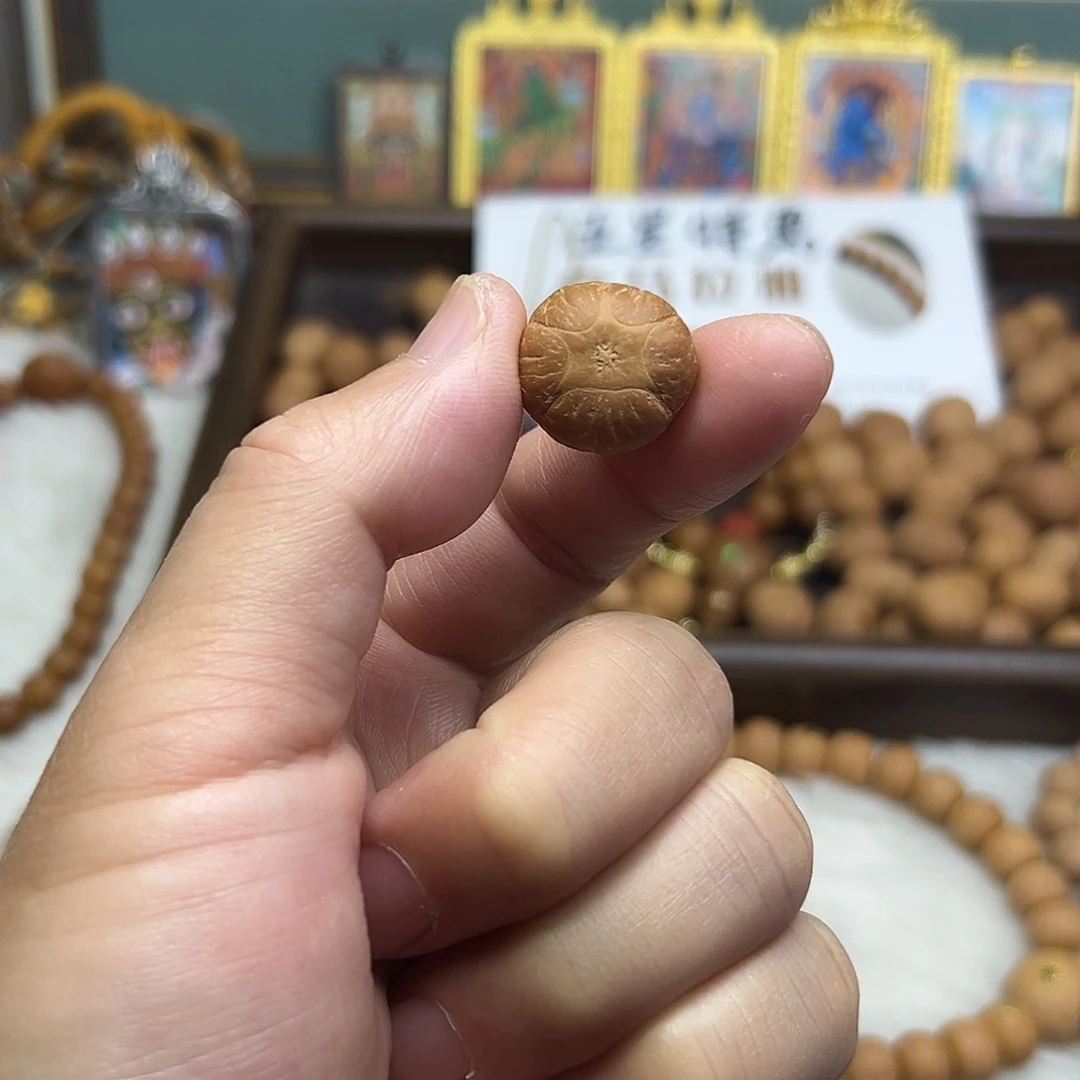 吊坠凤眼菩提?*尼泊尔五星菩提