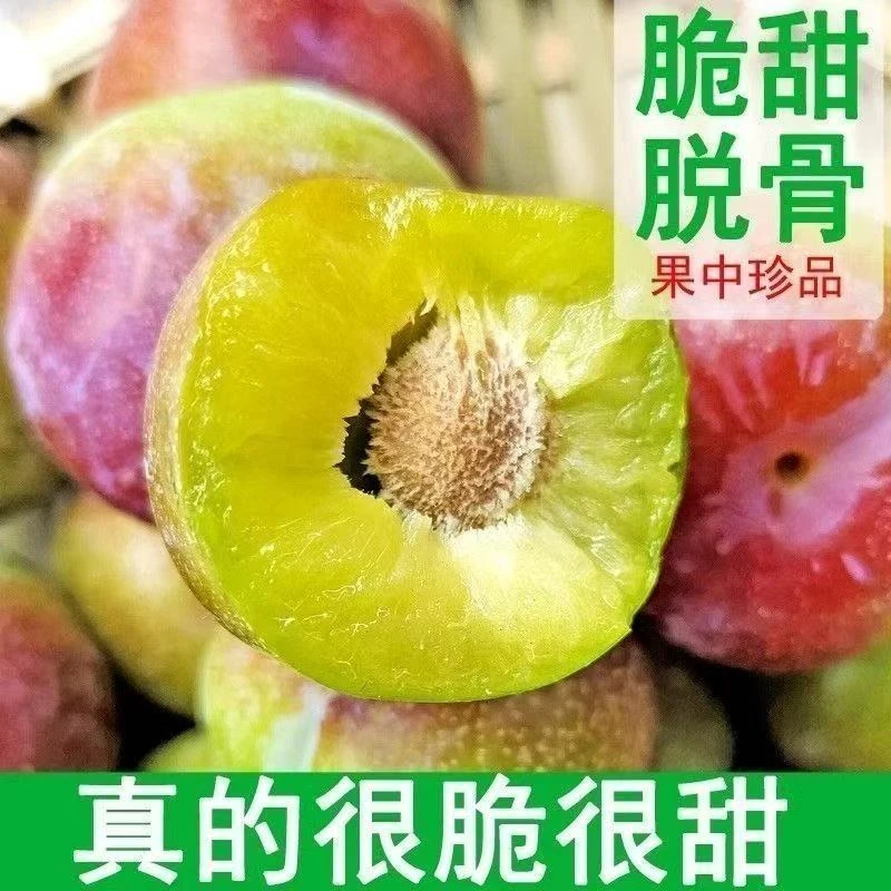 正宗脱骨半边红李新鲜现摘现发脆甜多汁当季水果5斤