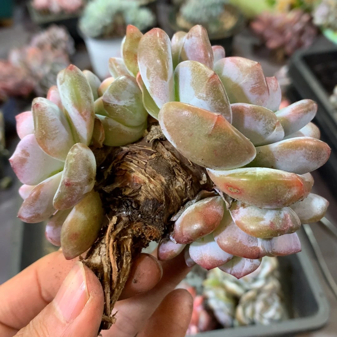 哈哈哈哈哈哈哈哈哈哈哈