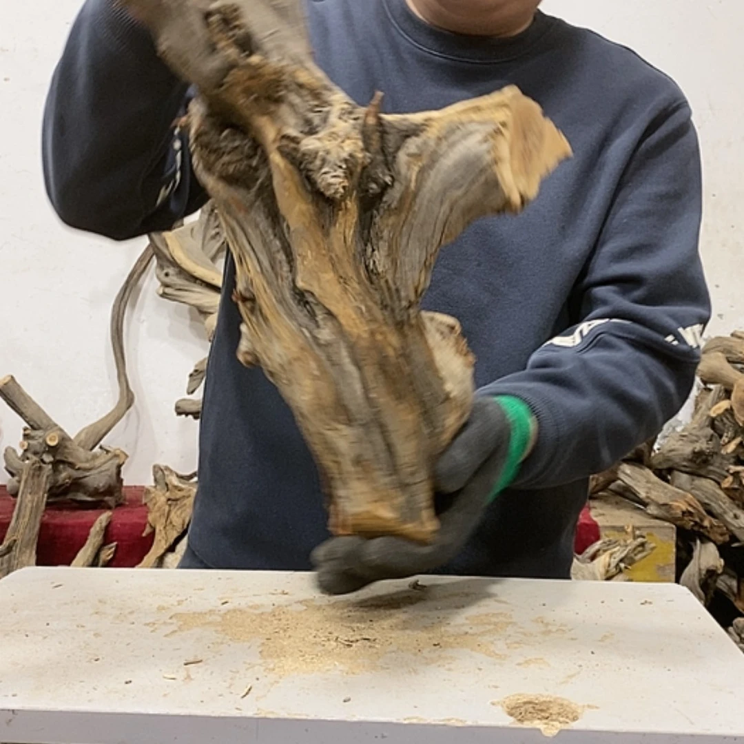 【闪购商品】柏木气*我们都是好孩子