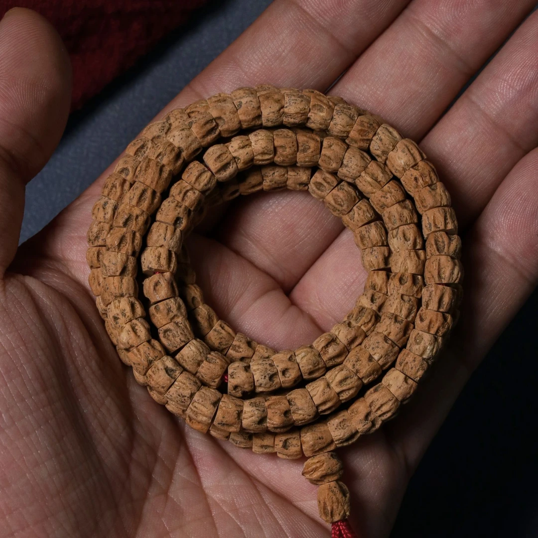【尸陀林大肠】方块尸陀林精工归圆大肠高油高密热振百香籽长串