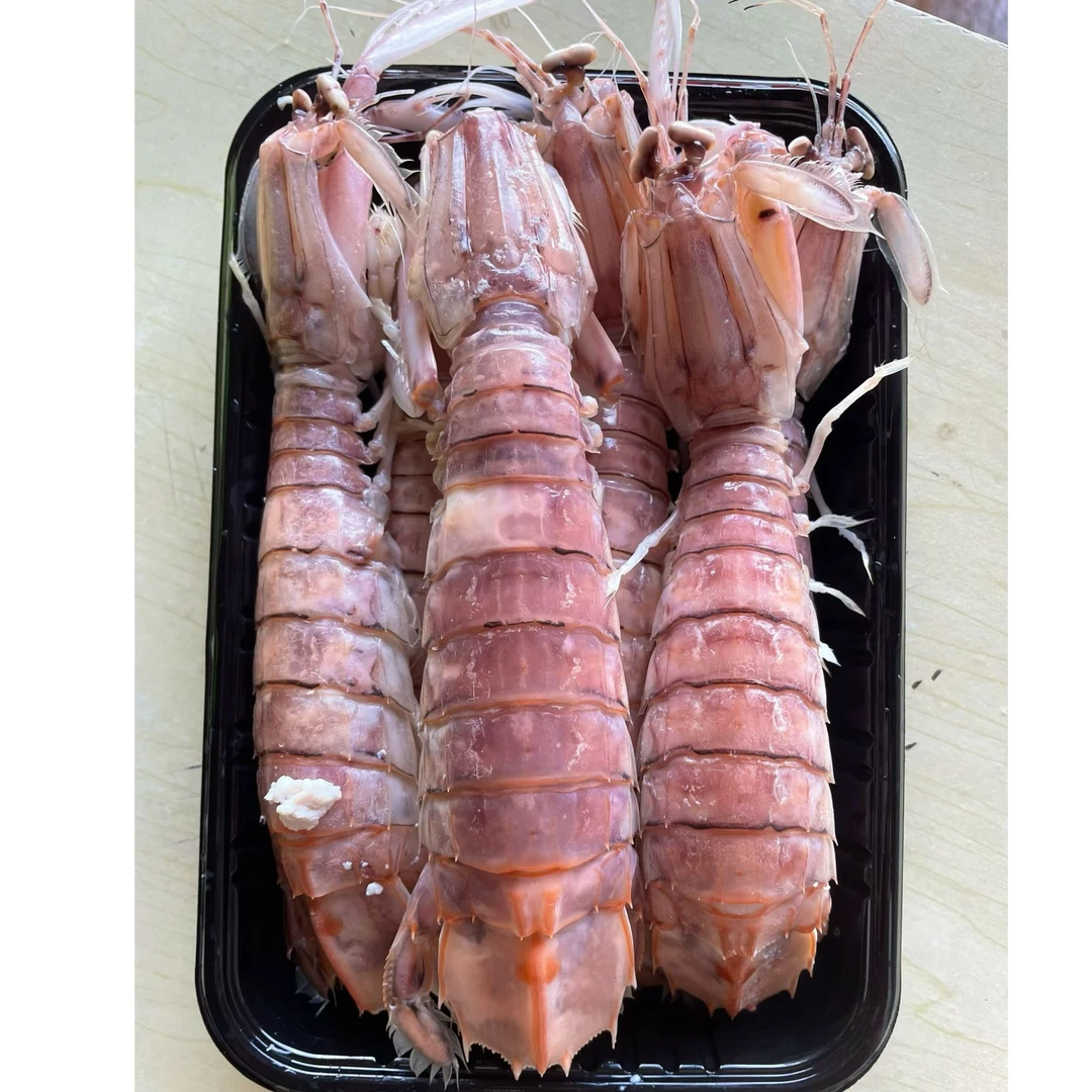 海捕新鲜皮皮虾顺丰冷链发货带膏带壳虾爬子