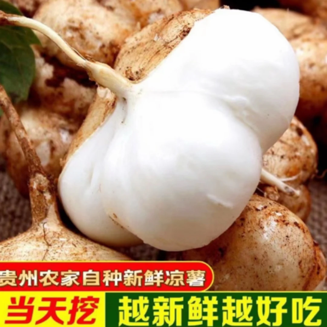 【顺丰包邮】贵州高山新鲜地萝卜地瓜凉薯