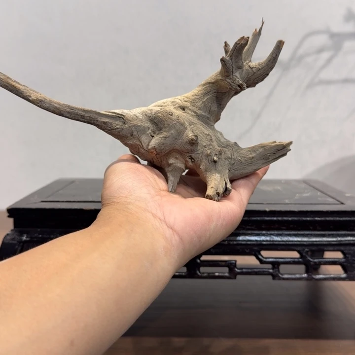 鸡翅木牧*人崖柏啊啊啊
