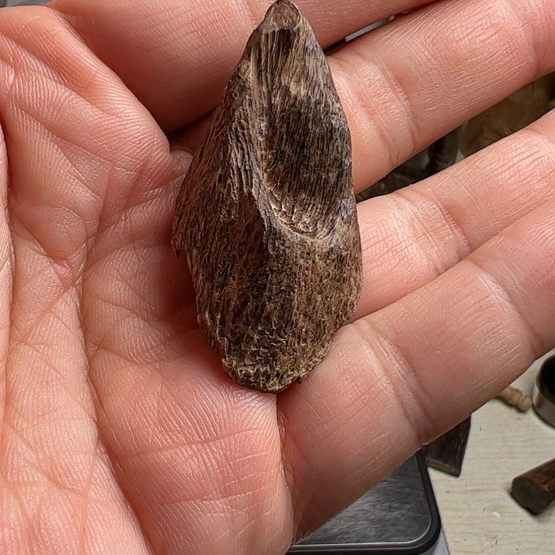 沉香沉香碎屑马泥涝沉水料2.6克