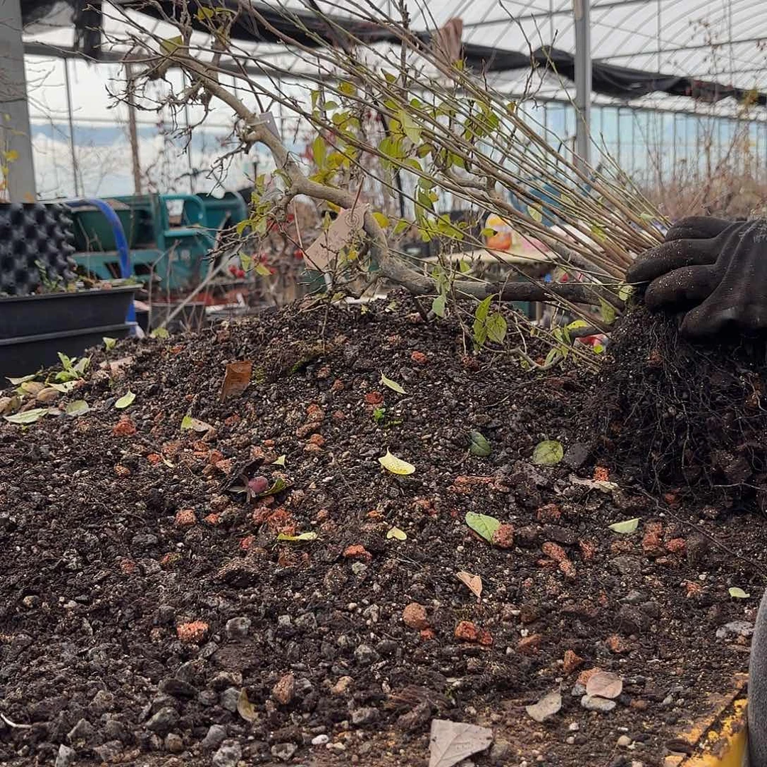 x***x红阳哈哈哈哈哈哈