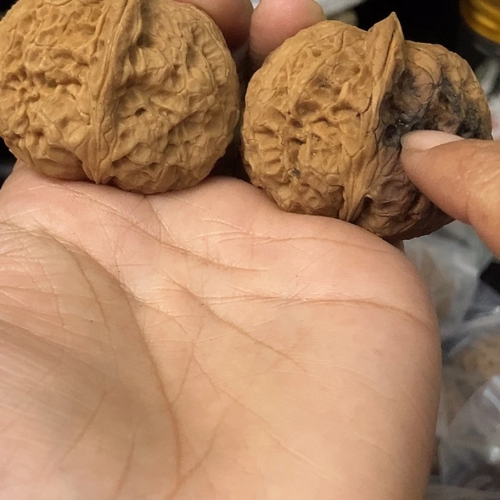 文玩核桃把件云南铁核桃基地94