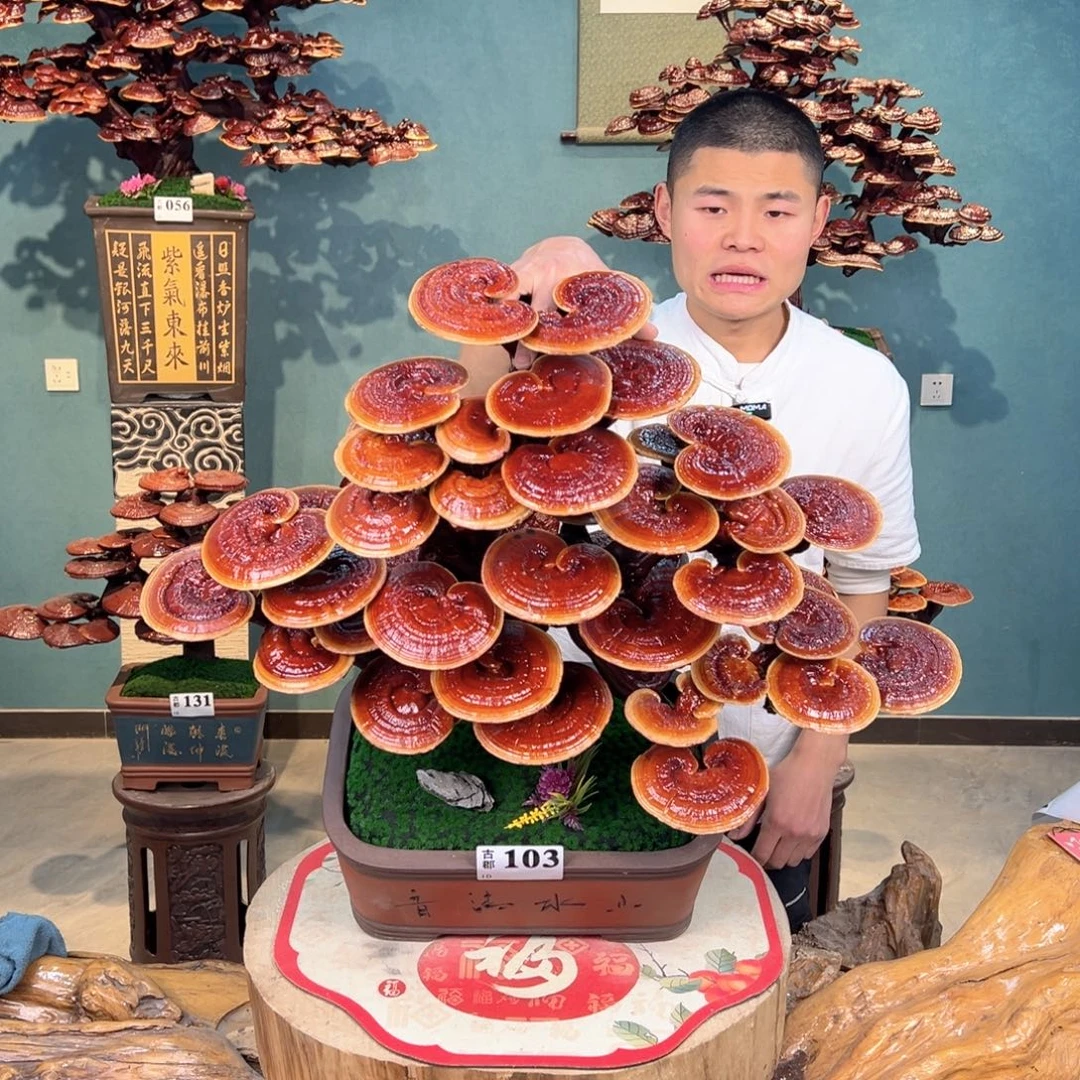 无花朵88888888888