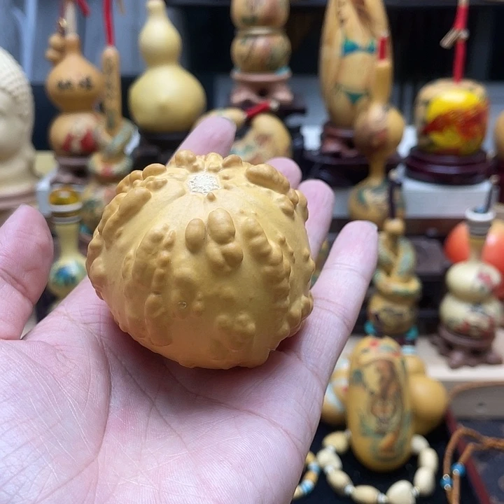 热*球葫芦轩手把墨西哥葫芦