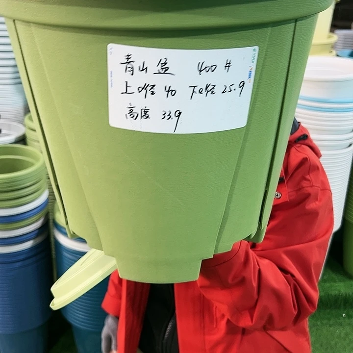 特价青山口40高34果绿带托5只