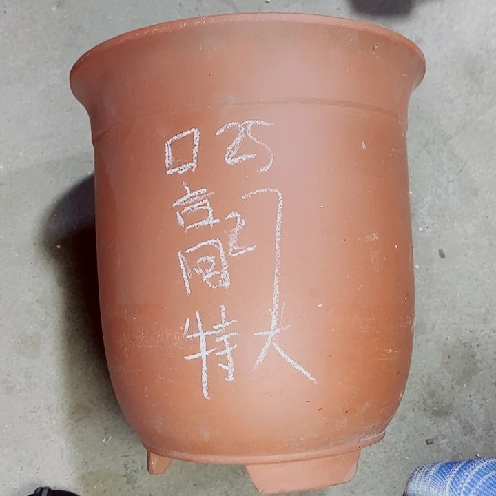 红陶紫砂紫砂紫砂