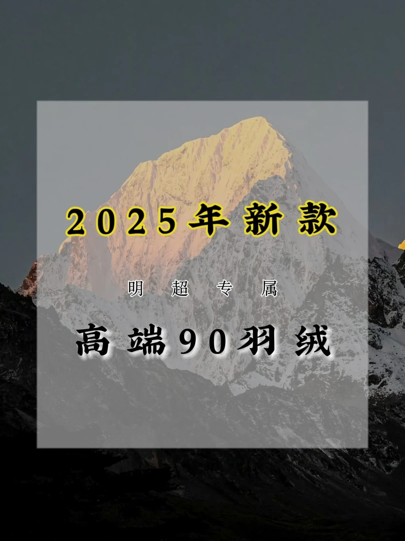 【豪】连帽男士羽绒服高奢时尚90白鸭绒百保暖百搭外套8869