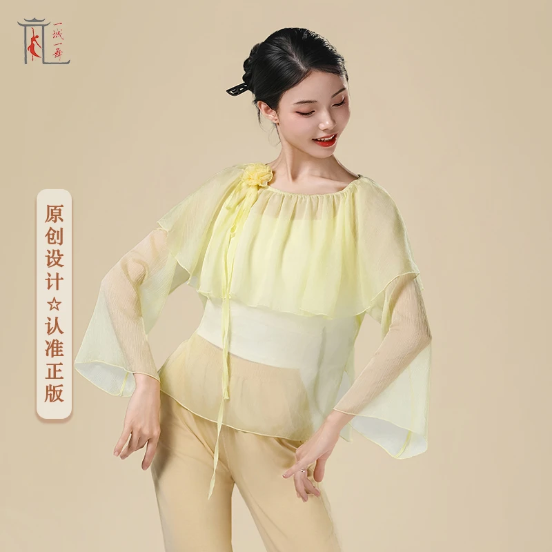一城一舞古典舞蹈服身韵纱衣女花朵荷叶袖飘逸练功集训形体服装